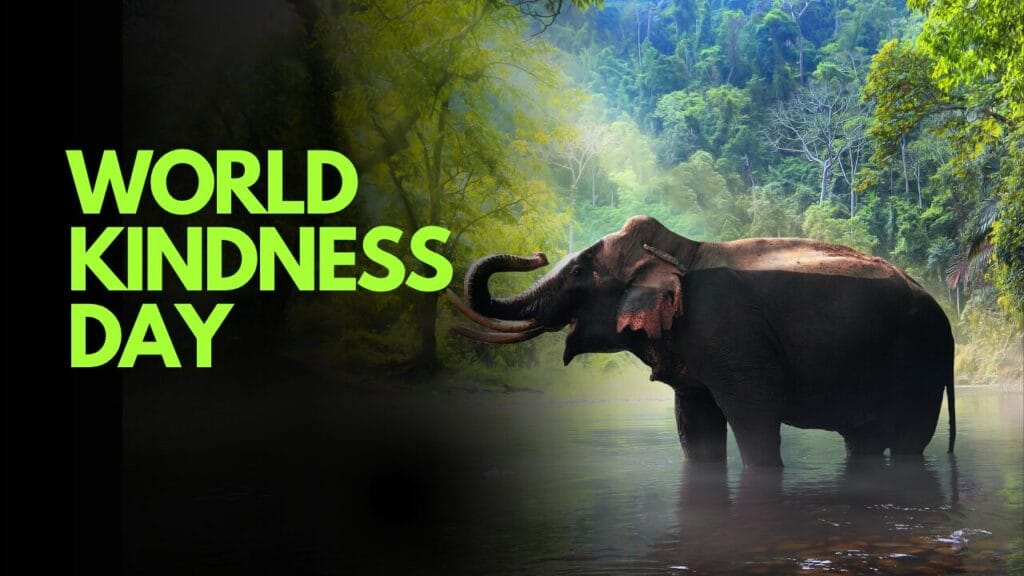 World Kindness Day